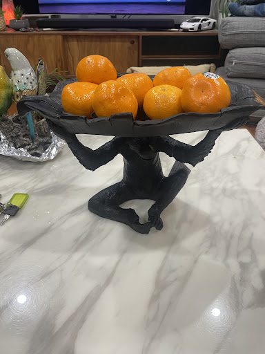 Photo from customer review